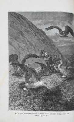 Райналь Ф.Е. Крушение шкуны Графтон. 20 месяцев одиночного пребывания на рифе Аукландских островов. СПб.; М., 1875.